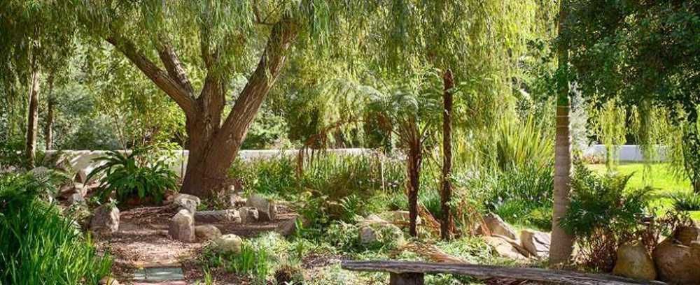 Assegaaibosch Country Lodge *