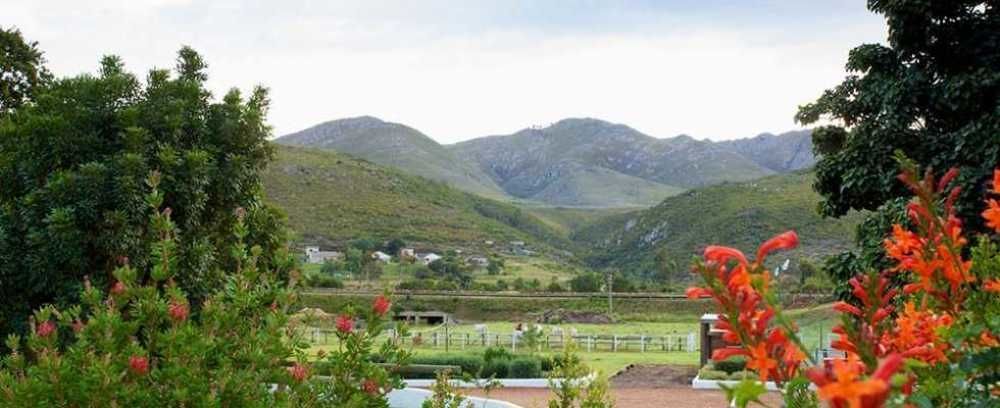 Assegaaibosch Country Lodge Kareedouw